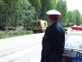 Переломаны деревья, "восьмёрка" и водитель Переломаны деревья, "восьмёрка" и водитель