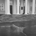 Критические дни