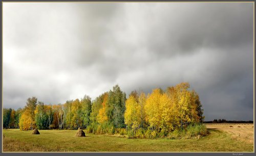 Выставка «Проснись, проснись, очарование…»