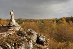 Заповедник «Оленьи ручьи» Заповедник «Оленьи ручьи»