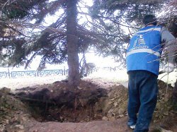 Особое внимание – голубым. В Озёрске спиливают не все деревья, повреждённые бурей Особое внимание – голубым. В Озёрске спиливают не все деревья, повреждённые бурей