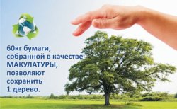 Бумага, сдавайся! Бумага, сдавайся!