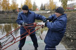 Водяной пылесос чистит пруд Водяной пылесос чистит пруд