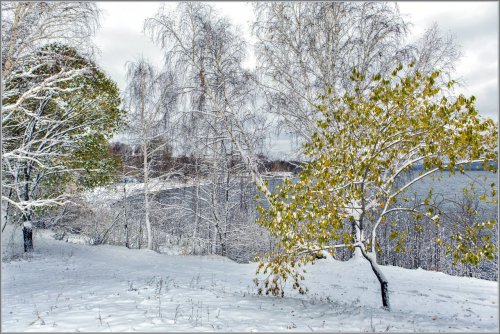 Первый снег в Озёрске. Фоторепортаж с улиц города от Валерия Ушакова Первый снег в Озёрске. Фоторепортаж с улиц города от Валерия Ушакова