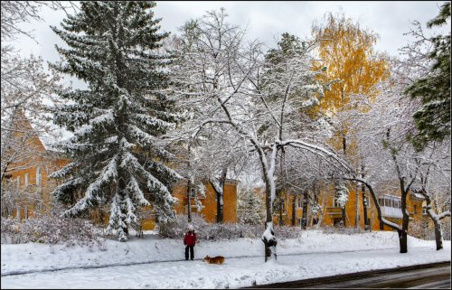Первый снег в Озёрске. Фоторепортаж с улиц города от Валерия Ушакова Первый снег в Озёрске. Фоторепортаж с улиц города от Валерия Ушакова