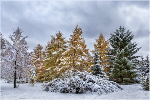 Первый снег в Озёрске. Фоторепортаж с улиц города от Валерия Ушакова Первый снег в Озёрске. Фоторепортаж с улиц города от Валерия Ушакова