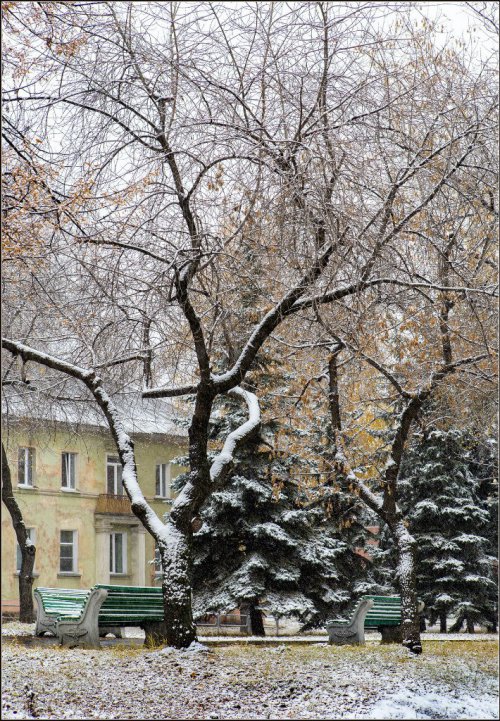 Первый снег в Озёрске. Фоторепортаж с улиц города от Валерия Ушакова Первый снег в Озёрске. Фоторепортаж с улиц города от Валерия Ушакова