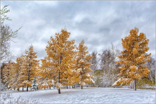 Первый снег в Озёрске. Фоторепортаж с улиц города от Валерия Ушакова Первый снег в Озёрске. Фоторепортаж с улиц города от Валерия Ушакова