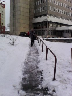 Непростые мысли, одолевающие во время зимнего субботника Непростые мысли, одолевающие во время зимнего субботника