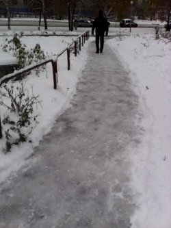 Непростые мысли, одолевающие во время зимнего субботника Непростые мысли, одолевающие во время зимнего субботника