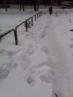 Непростые мысли, одолевающие во время зимнего субботника Непростые мысли, одолевающие во время зимнего субботника
