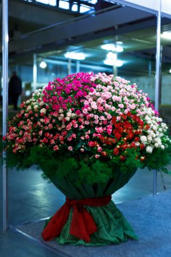 Выставка цветов «Ural Flowers — 2014» в Екатеринбурге. Фотоотчет Выставка цветов «Ural Flowers — 2014» в Екатеринбурге. Фотоотчет