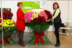 Выставка цветов «Ural Flowers — 2014» в Екатеринбурге. Фотоотчет Выставка цветов «Ural Flowers — 2014» в Екатеринбурге. Фотоотчет