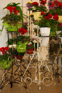 Выставка цветов «Ural Flowers — 2014» в Екатеринбурге. Фотоотчет Выставка цветов «Ural Flowers — 2014» в Екатеринбурге. Фотоотчет