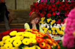 Выставка цветов «Ural Flowers — 2014» в Екатеринбурге. Фотоотчет Выставка цветов «Ural Flowers — 2014» в Екатеринбурге. Фотоотчет