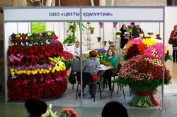 Выставка цветов «Ural Flowers — 2014» в Екатеринбурге. Фотоотчет Выставка цветов «Ural Flowers — 2014» в Екатеринбурге. Фотоотчет