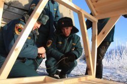 Жители Озерска и поселка Новогорный помогают перезимовать лебедю Жители Озерска и поселка Новогорный помогают перезимовать лебедю