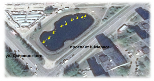 Водные растения озерского городского пруда. Исследования юного эколога Водные растения озерского городского пруда. Исследования юного эколога