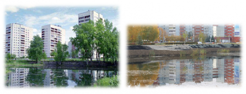 Водные растения озерского городского пруда. Исследования юного эколога Водные растения озерского городского пруда. Исследования юного эколога
