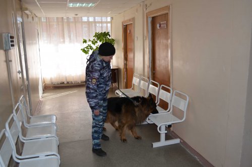 Подробности о подозрительном яйце в поликлинике Подробности о подозрительном яйце в поликлинике