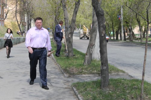 Приняли участие в акции «Лес Победы» Приняли участие в акции «Лес Победы»