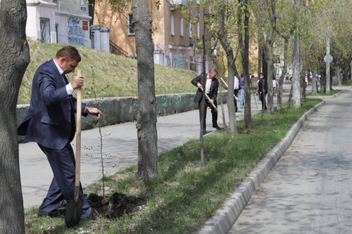 Приняли участие в акции «Лес Победы» Приняли участие в акции «Лес Победы»