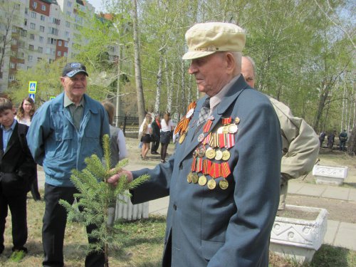 Итоги проекта «Дерево Победы» в Озерске Итоги проекта «Дерево Победы» в Озерске