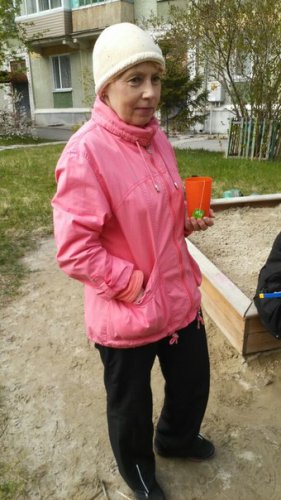 Итоги проекта «Дерево Победы» в Озерске Итоги проекта «Дерево Победы» в Озерске