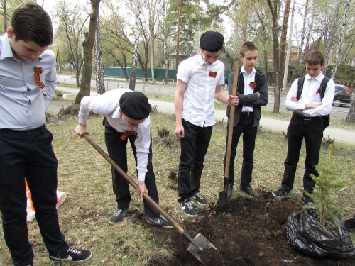 Итоги проекта «Дерево Победы» в Озерске Итоги проекта «Дерево Победы» в Озерске