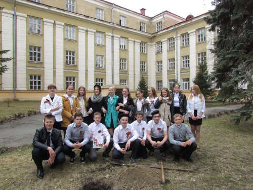 Итоги проекта «Дерево Победы» в Озерске Итоги проекта «Дерево Победы» в Озерске