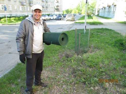 Итоги проекта «Дерево Победы» в Озерске Итоги проекта «Дерево Победы» в Озерске