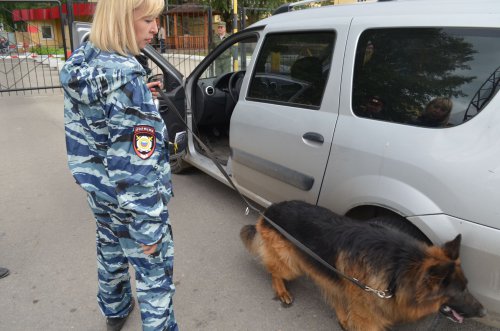 Зачем сообщил о заложенной бомбе, объяснить не смог Зачем сообщил о заложенной бомбе, объяснить не смог