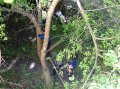 СРОЧНО. В Озёрске рабочий-коммунальщик упал с дерева СРОЧНО. В Озёрске рабочий-коммунальщик упал с дерева