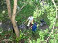 СРОЧНО. В Озёрске рабочий-коммунальщик упал с дерева СРОЧНО. В Озёрске рабочий-коммунальщик упал с дерева
