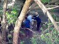 СРОЧНО. В Озёрске рабочий-коммунальщик упал с дерева СРОЧНО. В Озёрске рабочий-коммунальщик упал с дерева