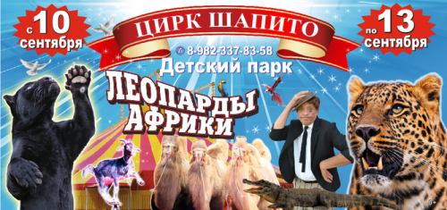 К нам едет шапито! К нам едет шапито!