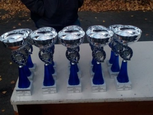 Победа юных авиамоделистов Победа юных авиамоделистов