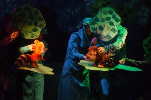 Триумф Озерского театра кукол на фестивале «В гостях у Мойдыся» Триумф Озерского театра кукол на фестивале «В гостях у Мойдыся»