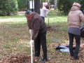 В Озерске подходит к завершению общегородской субботник В Озерске подходит к завершению общегородской субботник