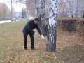 В Озерске подходит к завершению общегородской субботник В Озерске подходит к завершению общегородской субботник
