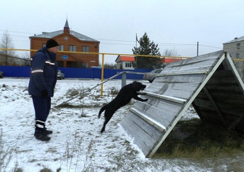 Житель Кыштыма выехал на учения, но реально спас человека Житель Кыштыма выехал на учения, но реально спас человека