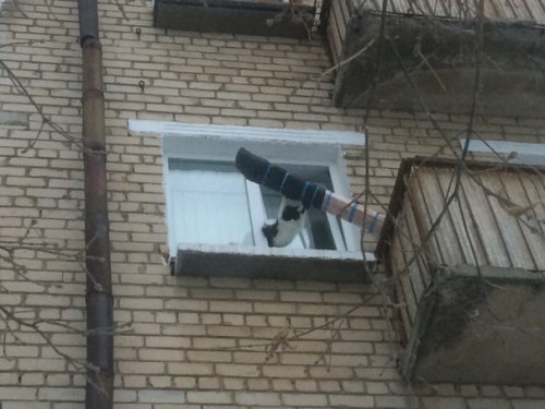 Озёрские спасатели помогли застрявшему коту Озёрские спасатели помогли застрявшему коту