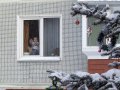 До свиданья, Новый год! До свиданья, Новый год!