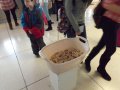 Фотики и котики Фотики и котики