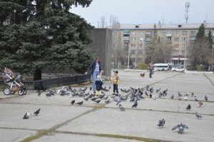 «Единороссы» и учащаяся молодежь навели порядок. Фоторепортаж «Единороссы» и учащаяся молодежь навели порядок. Фоторепортаж