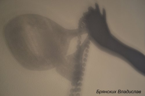 Юные озёрские фотохудожники победили в «Палитре мгновений» Юные озёрские фотохудожники победили в «Палитре мгновений»