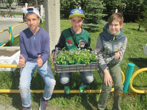#БумажныйБУМ обернулся #ЦветущимОзерском #БумажныйБУМ обернулся #ЦветущимОзерском