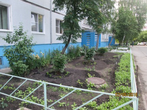 Как благоустроить свой двор? Есть 2 проторенных пути и 3, компромиссный Как благоустроить свой двор? Есть 2 проторенных пути и 3, компромиссный