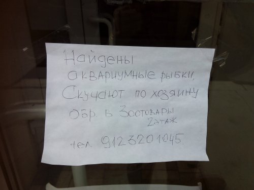 Кто потерял аквариумных рыбок? Кто потерял аквариумных рыбок?