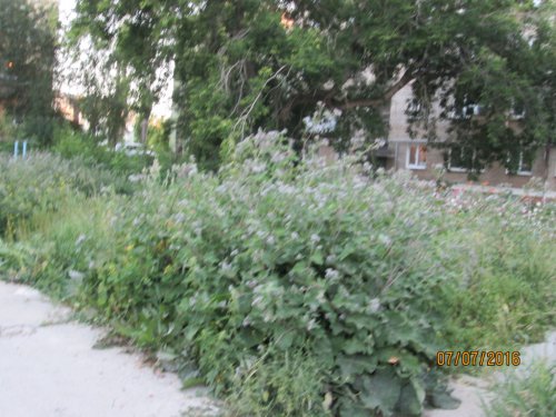 Худшие дворовые площадки Озёрского городского округа Худшие дворовые площадки Озёрского городского округа